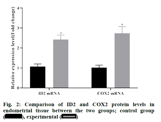 IJPS-COX2